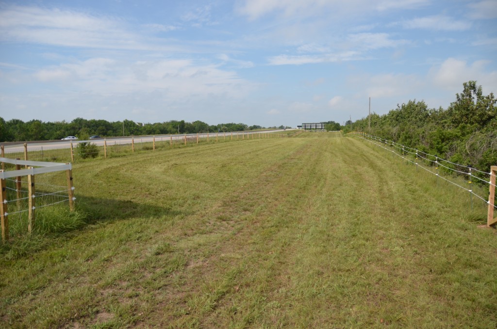 The Play Pen Paddock